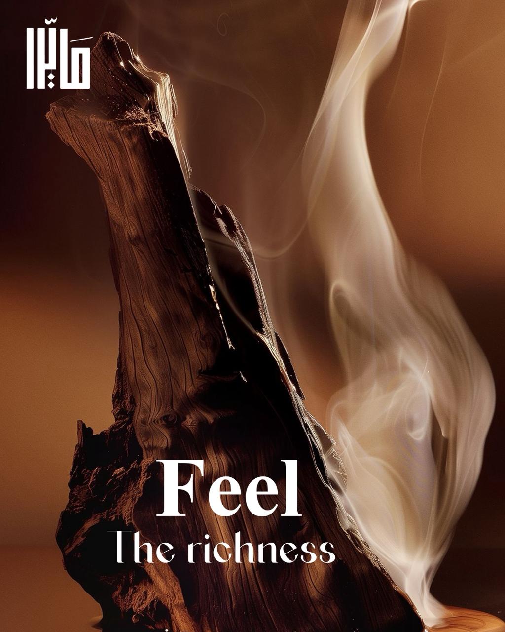 WhatsApp Image 2026-01-02 at 1.01.00 PM (1)