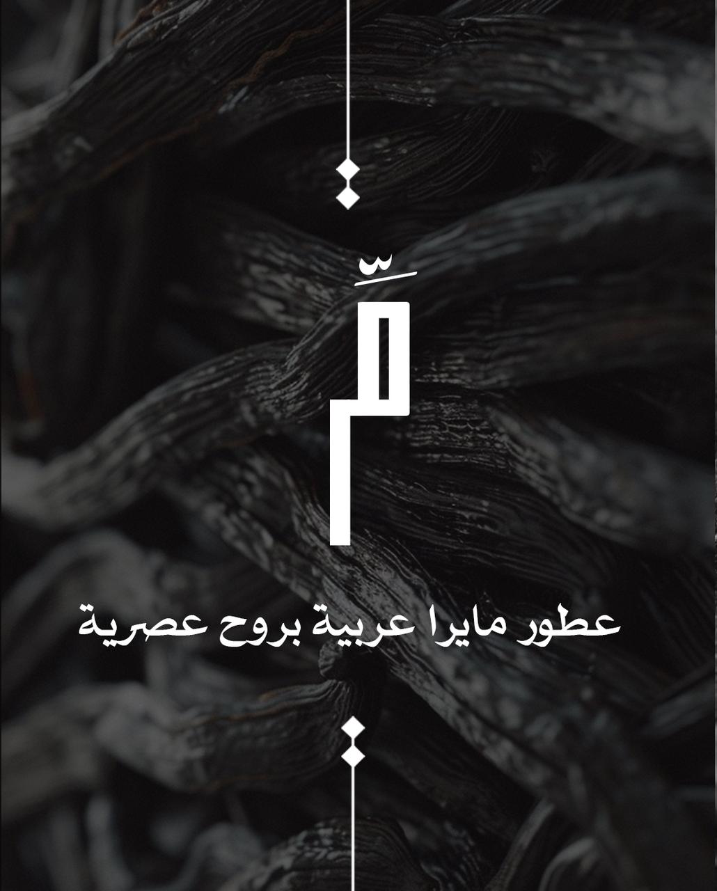 WhatsApp Image 2026-01-02 at 1.01.00 PM (2)