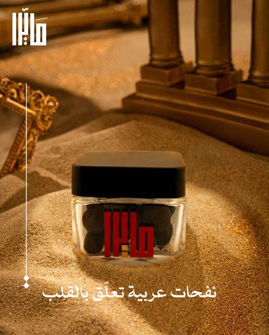 WhatsApp Image 2026-01-02 at 1.01.01 PM (1)